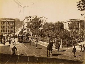 Oran 019